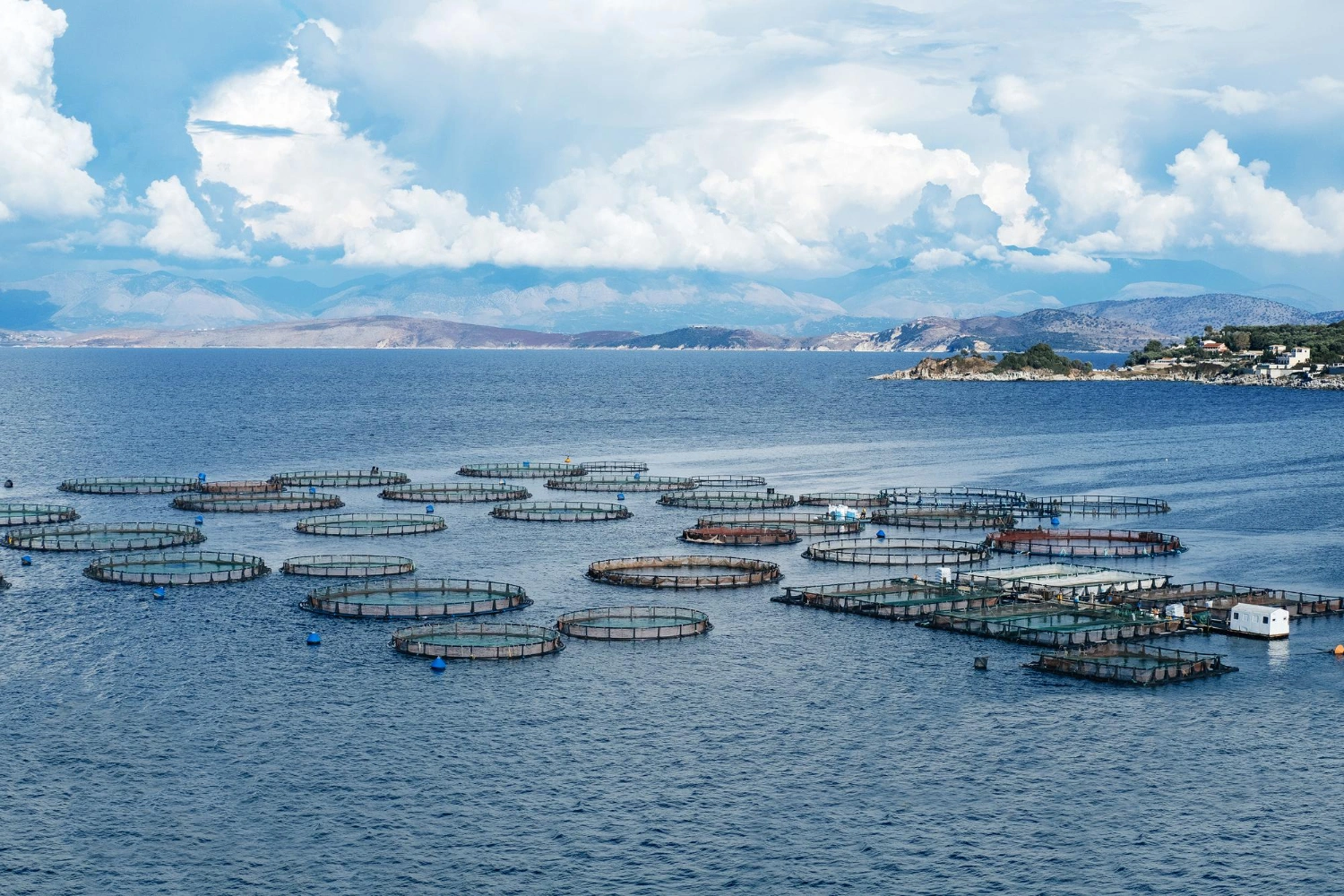Global aquaculture production and international supply network