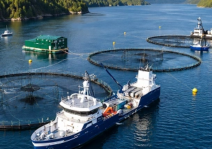 Broader aquaculture applications supported by Intrexium feed platform