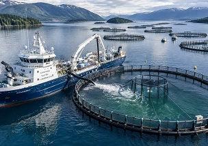 International market entry for Intrexium aquaculture nutrition products