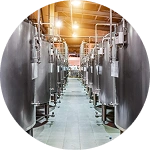Precision fermentation