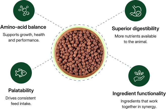 Intrexium complete formulation system showing complementary plant-derived ingredients