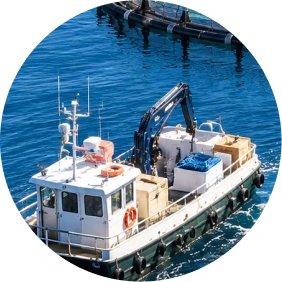 Ship representing the transition from marine protein to plant-based nutrition